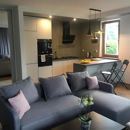 Apartamenty Pod Jesionem Zator Exterior foto